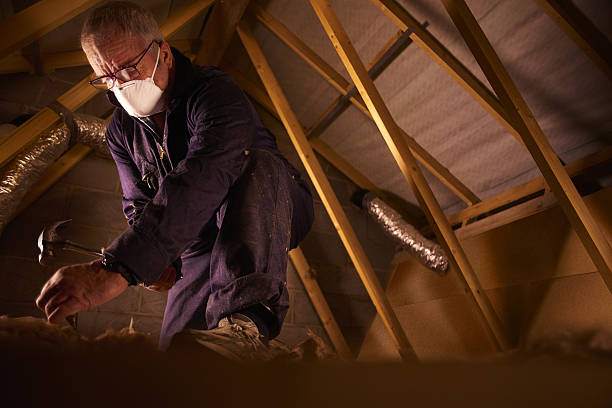 Best Insulation Maintenance and Repair in Williston, ND