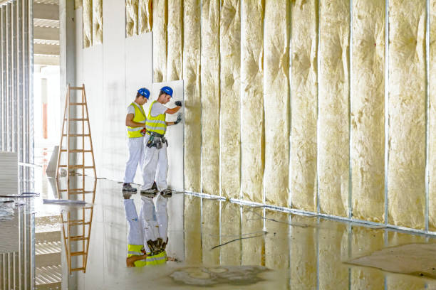 Best Residential Insulation in Williston, ND